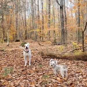 Meet your Posher, Melanie